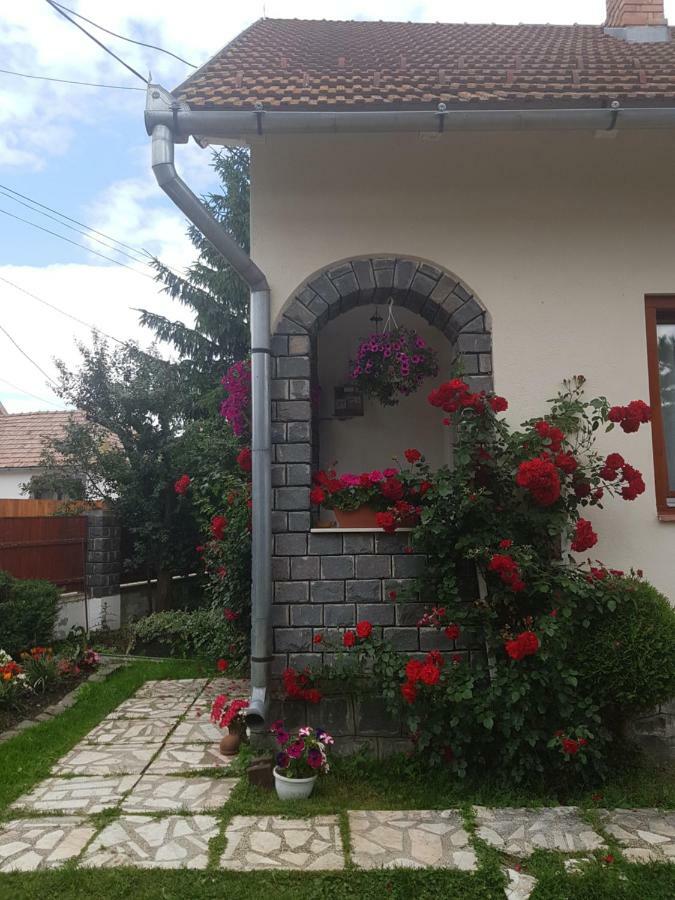 Apartmán Rita Vendeghaz Ciumani Exteriér fotografie